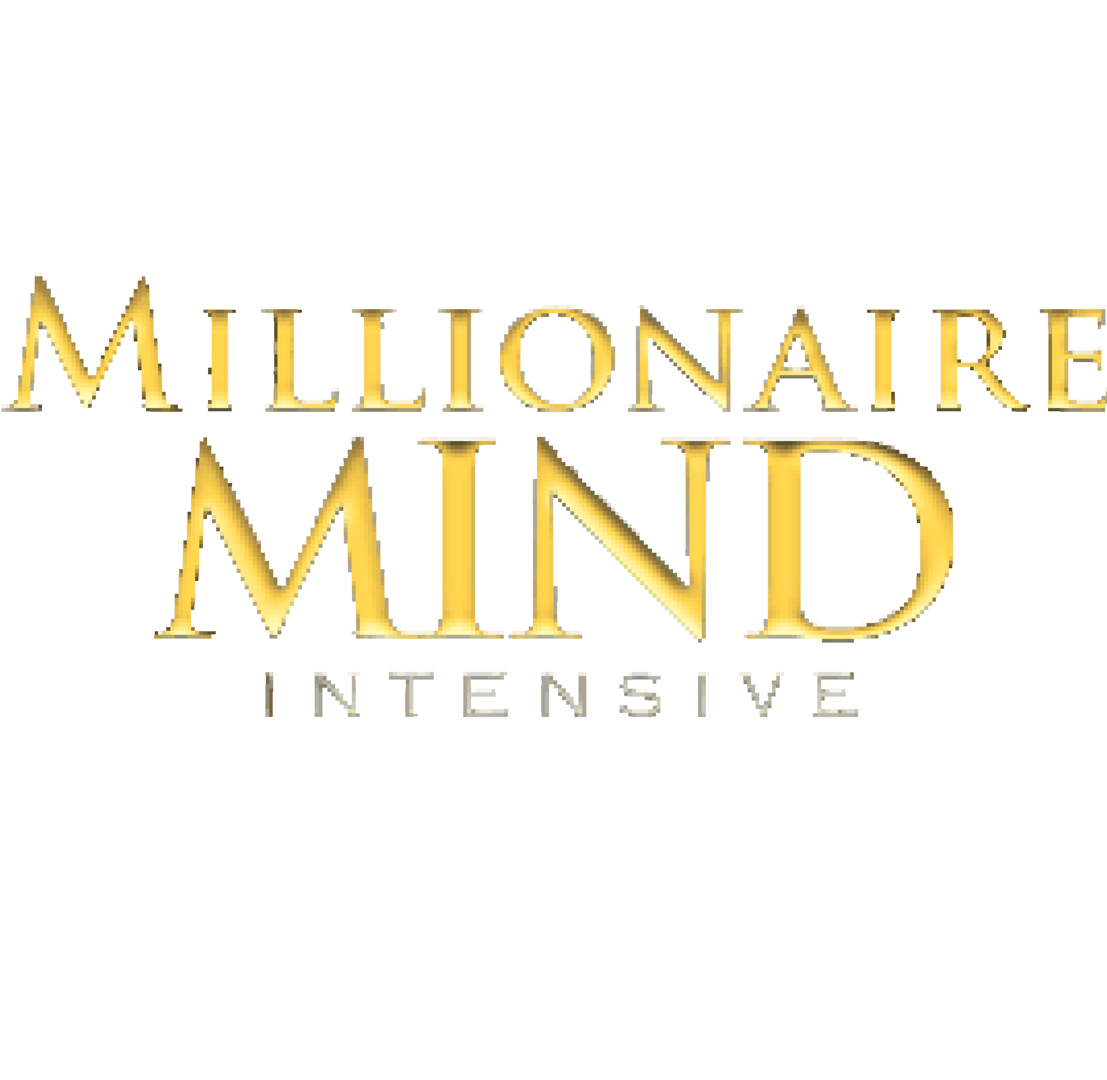 Millionaire Mind Intensive